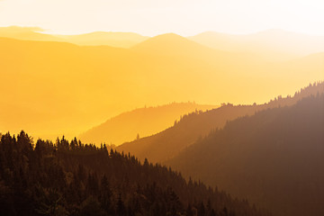 Wall Mural - Mountains covered with woods in the early morning light