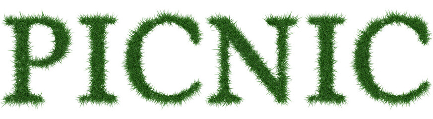 Fototapete - Picnic - 3D rendering fresh Grass letters isolated on whhite background.