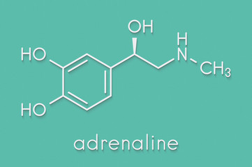 Sticker - Adrenaline (adrenalin, epinephrine) neurotransmitter molecule. Used as drug in treatment of anaphylaxis Skeletal formula.