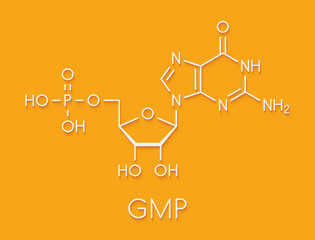 Wall Mural - Guanosine monophosphate (GMP, guanylic acid) RNA building block molecule. Guanylate salts are used as umami flavor enhancers in food. Skeletal formula.