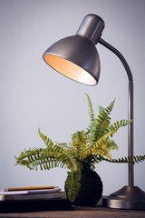 Close up of illuminated lamp by houseplant