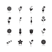 Flowers Drop Shadow Black Glyph Icons Set