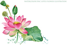 Pink Lotus Border. Watercolor Botanical Illustration.