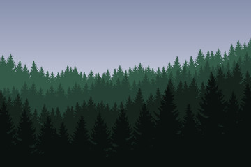 Wall Mural - Vector illustration of coniferous forest with green trees in several layers under a gray sky