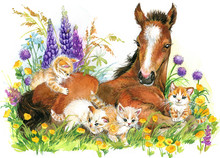 Cute Horse. Pet Animal On Flowering Meadow Background. Foal Illustration Watercolor