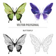 Vector polygonal butterfly. Low poly insect illustration. Triangle color animal image.