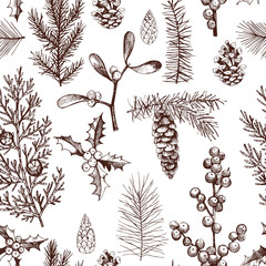 Wall Mural - Vector pattern with hand-drawn Christmas plants .