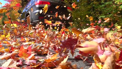 SLOW MOTION CLOSE UP: Black SUV car driving on empty forest road over bright autumn leaves. Colorful fall foliage dancing behind a car driving over on forest road. Car swirling beautiful autumn leaves
