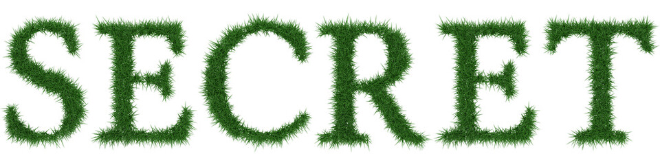 Fototapete - Secret - 3D rendering fresh Grass letters isolated on whhite background.