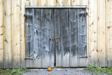 Old And Weathered Rustic Barn Doors With Rusty Lock, Small Pumpkin On Ground Outside