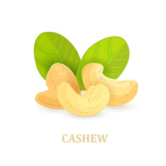 Wall Mural - group of cashews with leaves on white background for your design