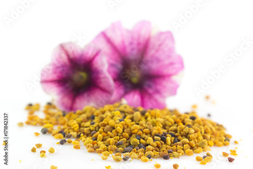 500_F_171842337_8SR2ngEba3CH0JBkDobkXFTXKd61OWSN.jpg