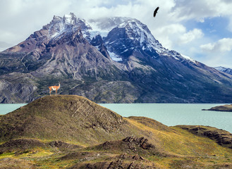 Canvas Print - Mountains and lake Pehoe