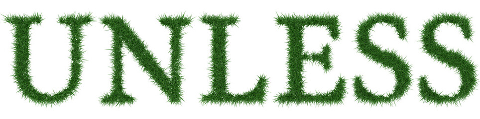 Fototapete - Unless - 3D rendering fresh Grass letters isolated on whhite background.