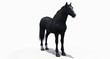 Black Horse (3D)