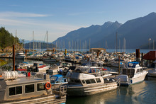 Marina At Horseshoe Bay In British Columbia Canada