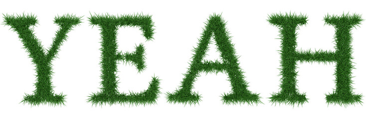 Fototapete - Yeah - 3D rendering fresh Grass letters isolated on whhite background.