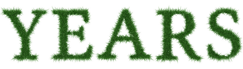 Fototapete - Years - 3D rendering fresh Grass letters isolated on whhite background.