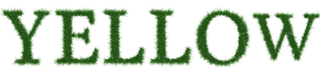 Fototapete - Yellow - 3D rendering fresh Grass letters isolated on whhite background.
