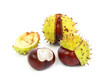 Marrons d'Inde 