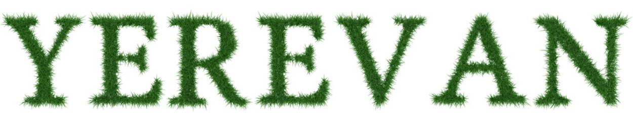 Fototapete - Yerevan - 3D rendering fresh Grass letters isolated on whhite background.