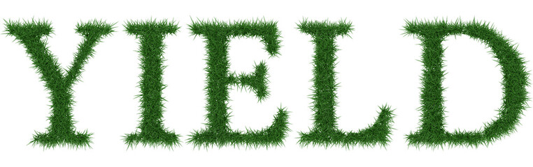 Fototapete - Yield - 3D rendering fresh Grass letters isolated on whhite background.