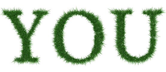Fototapete - You - 3D rendering fresh Grass letters isolated on whhite background.