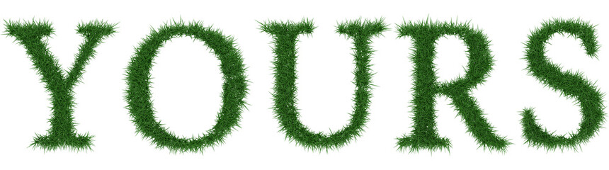 Fototapete - Yours - 3D rendering fresh Grass letters isolated on whhite background.