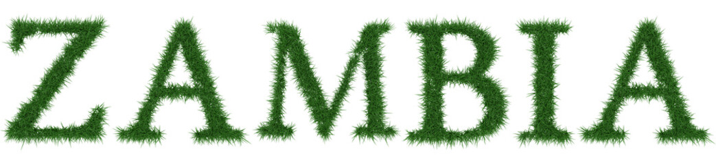 Fototapete - Zambia - 3D rendering fresh Grass letters isolated on whhite background.