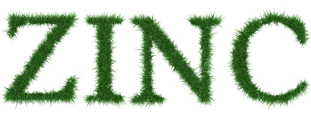 Fototapete - Zinc - 3D rendering fresh Grass letters isolated on whhite background.