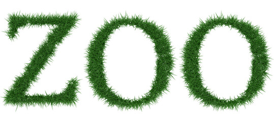 Fototapete - Zoo - 3D rendering fresh Grass letters isolated on whhite background.
