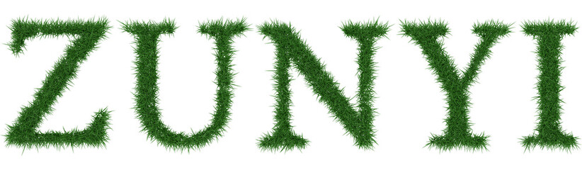 Fototapete - Zunyi - 3D rendering fresh Grass letters isolated on whhite background.