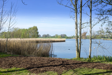 Trees with lake in Cheshire UK