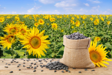 Wall Mural - sunflower seeds and field