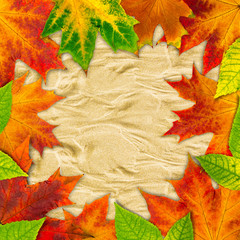 Wall Mural - autumn leaves.