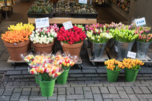 Colorful Flowers For Sale At  Flower Market, Amsterdam, The Netherlands