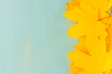 Fall Yellow Maple Leaves Border On Blue Background