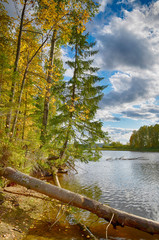 Wall Mural - autumn landscape colorful deciduous forests on the banks of rivers, lakes.