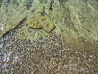 Clear stoney beach floor