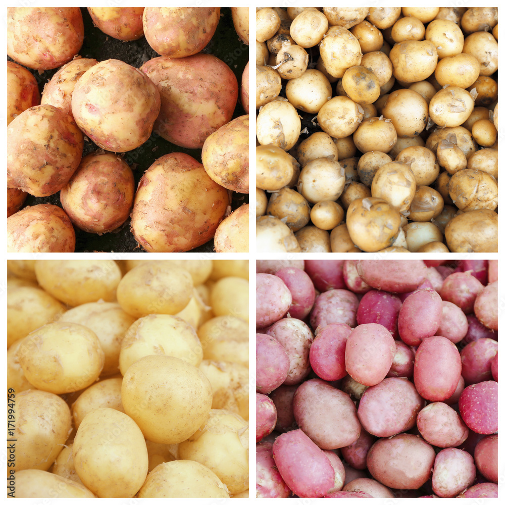Collage with different kinds of potatoes