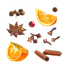 Oranges And Winter Spices Isolated On White Watercolor Illustration 