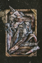 Overhead View Of Squid Fish In Wooden Crate At Market