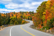 A turning road with fall trees