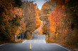 a bumpy road with fall trees