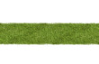 Green grass or turf strip on white background