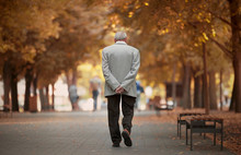 Old Man Walking In Autumn Park
