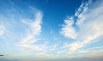Wall Mural - clear blue sky and white clouds