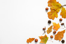 Autumn Composition. Autumn Leaves, Acorn, Pinecone, Nuts. Top View, Copy Space