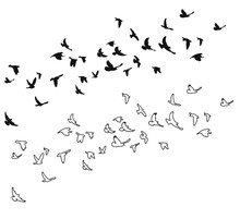 Sketch Of Pigeons Flying