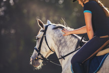 Woman Riding A Horse On Paddock, Horsewoman Sport Wear